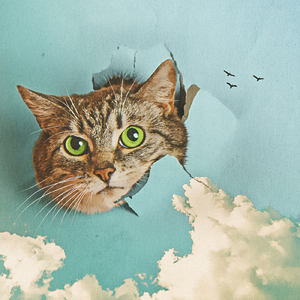 亚洲激情淫乱视频
