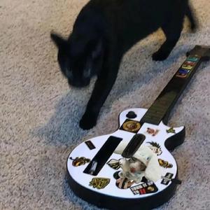 亚洲激情淫乱视频
