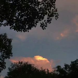 亚洲激情淫乱视频
